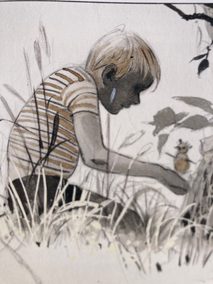 Illustration 5