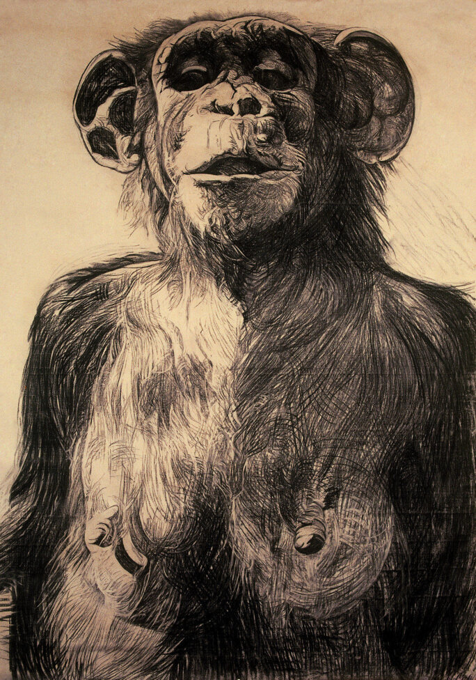 Illustration 5