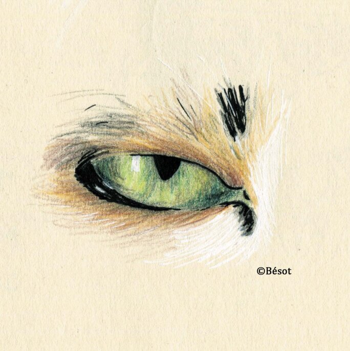 Illustration 3