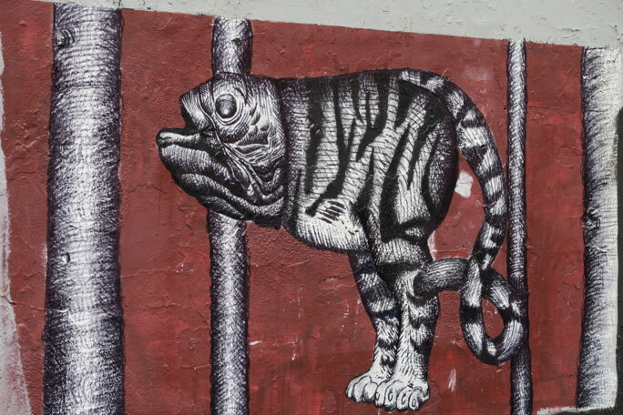 Illustration 3