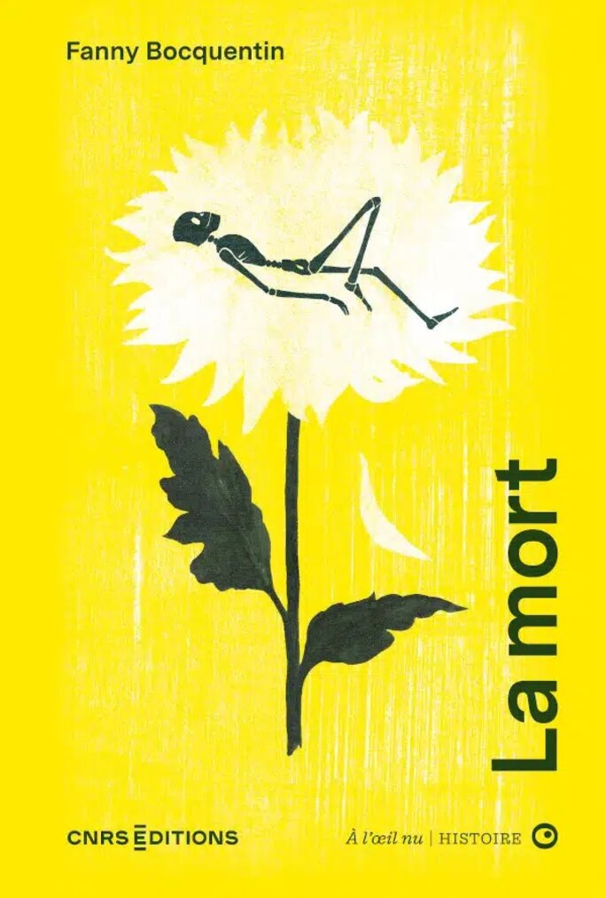 Illustration 7