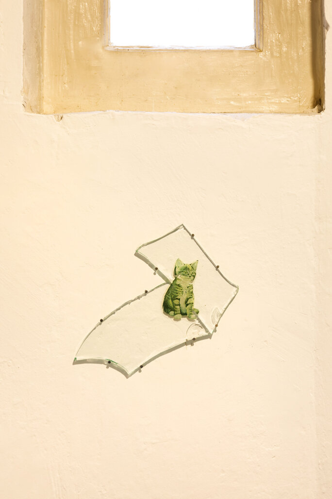 Illustration 7