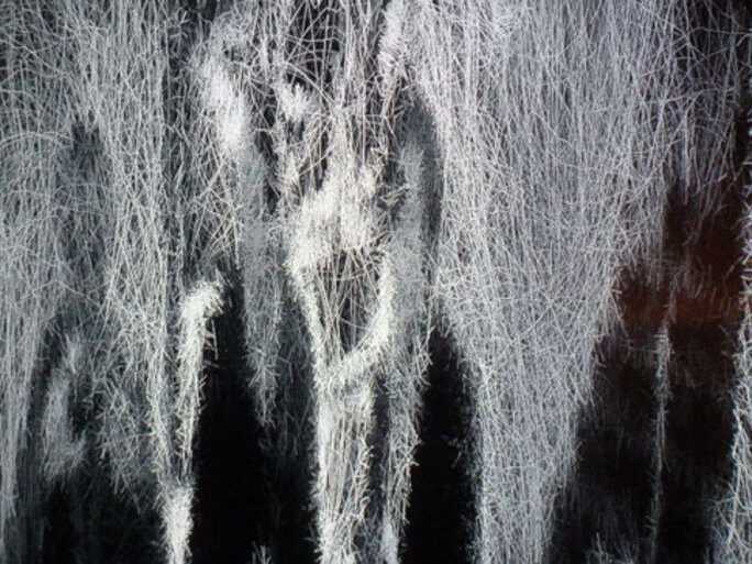 Illustration 7