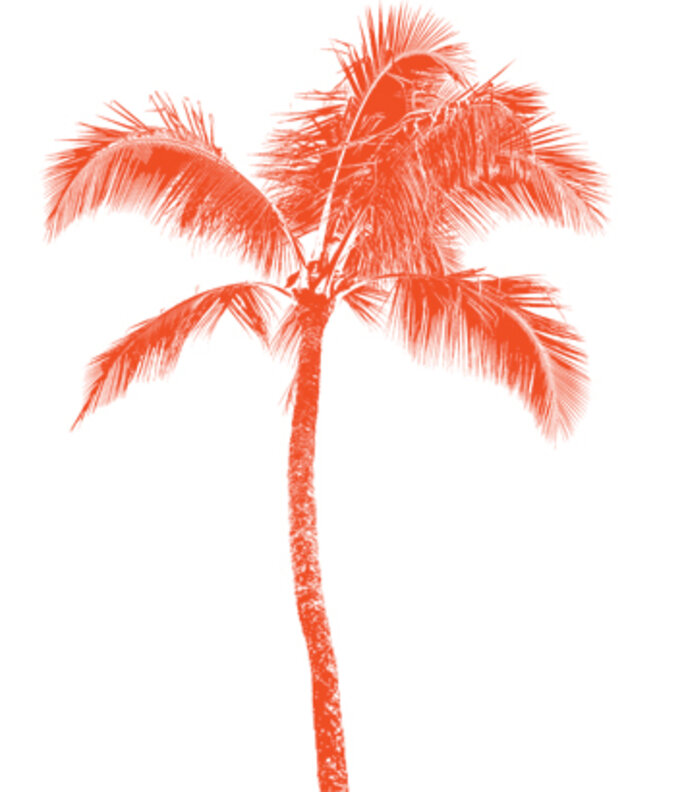 Illustration 2