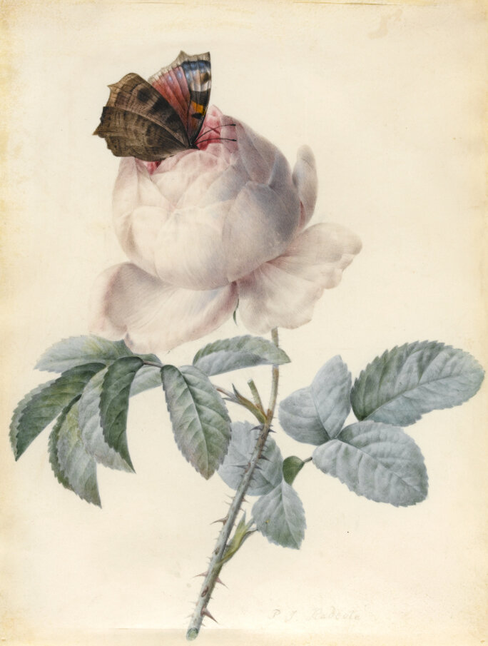 Illustration 21
