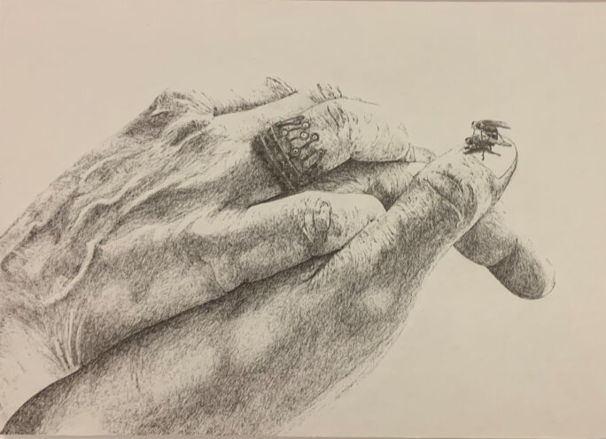Illustration 27