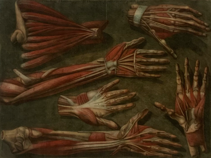 Illustration 5
