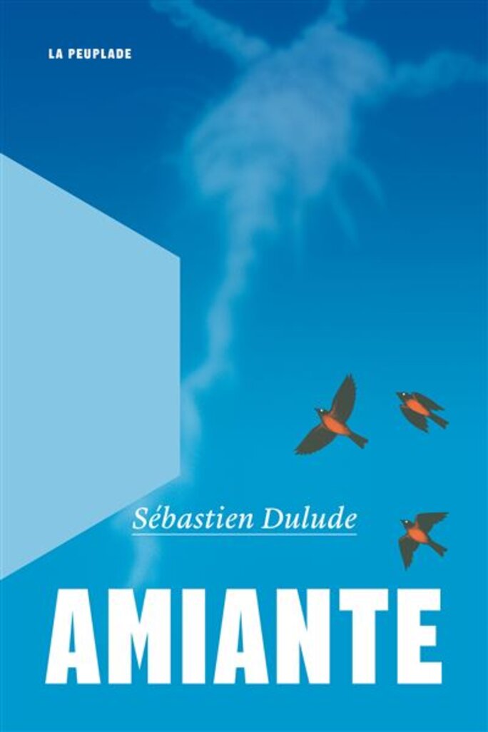 Illustration 2