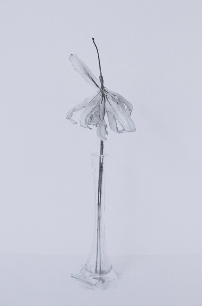 Illustration 8