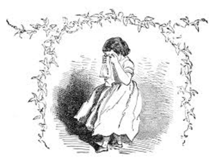 Illustration 5