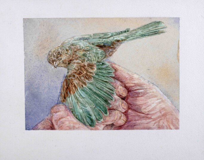 Illustration 15
