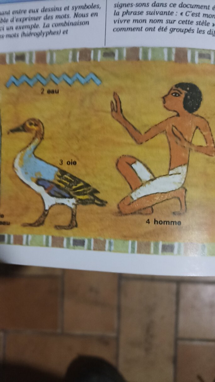 Illustration 4