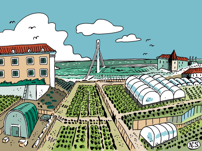 Illustration 2