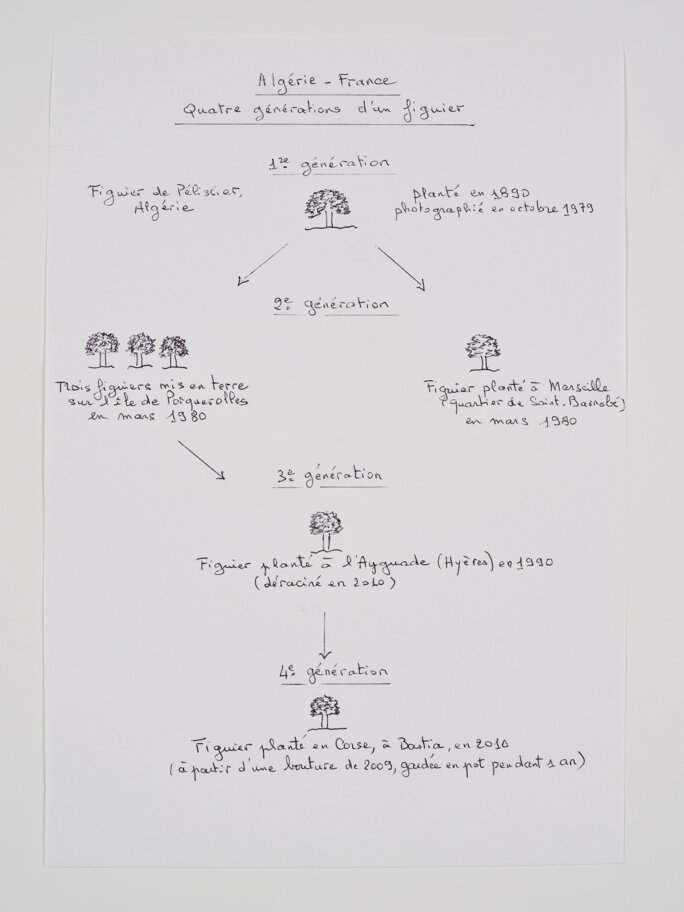 Illustration 6