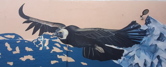 Illustration 2