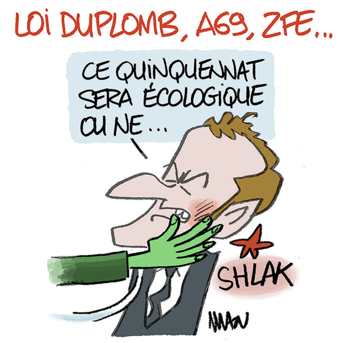 Illustration 4