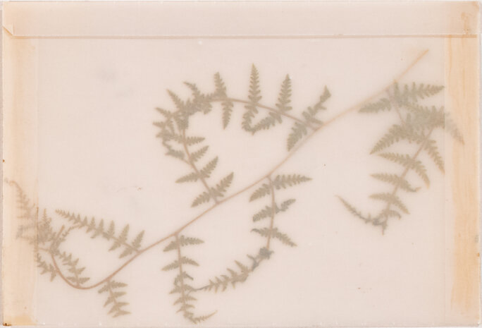 Illustration 13