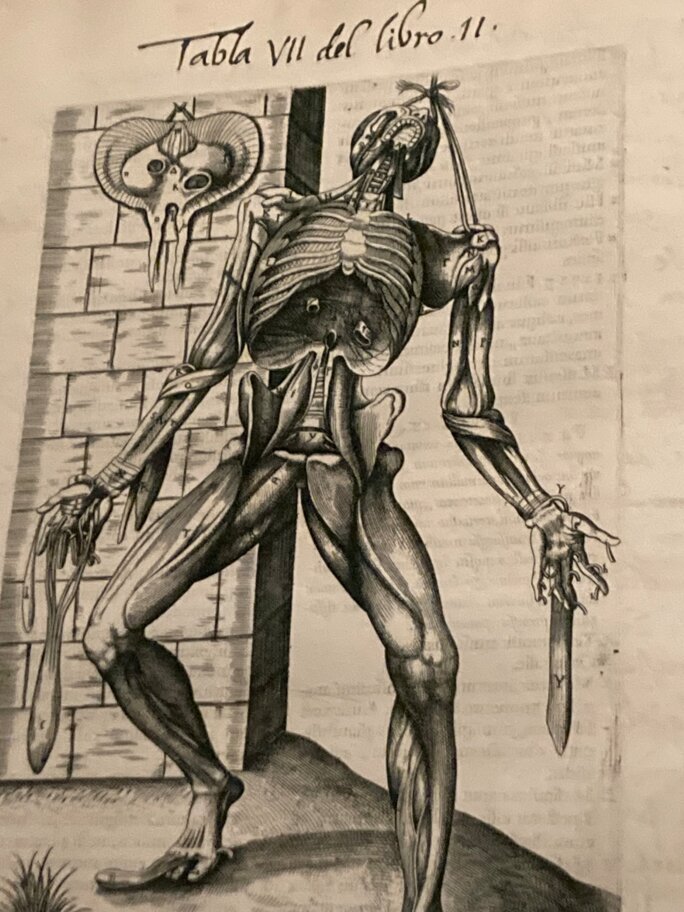 Illustration 4