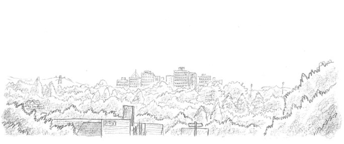 Illustration 11