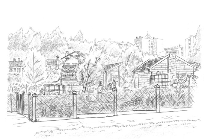 Illustration 6