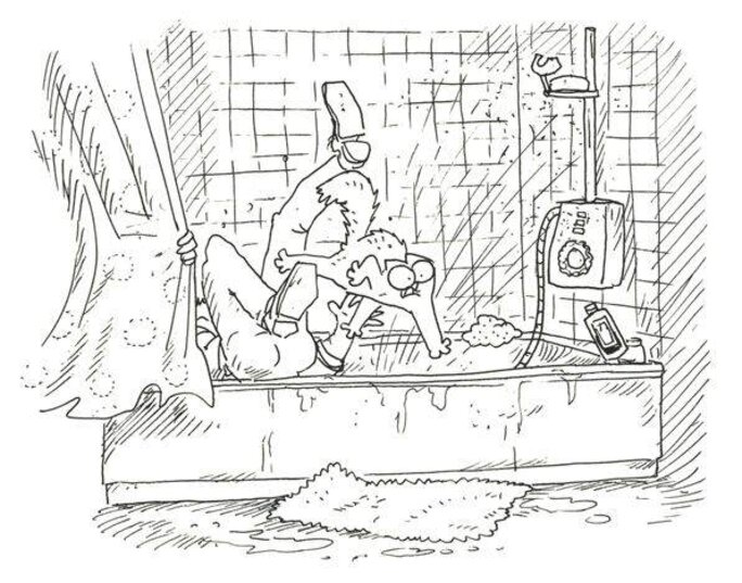 Illustration 15