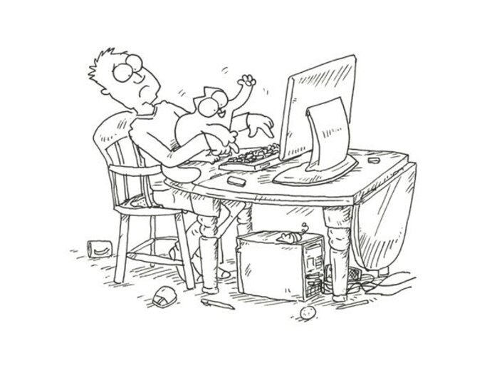 Illustration 8