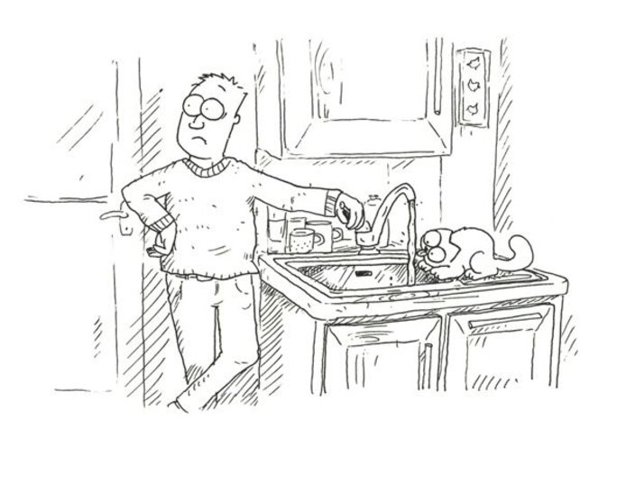 Illustration 5