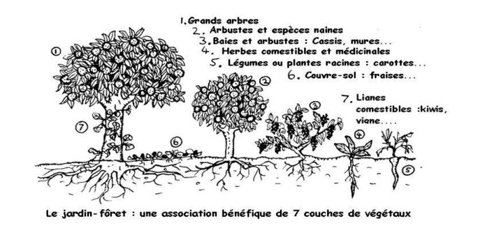 Illustration 2