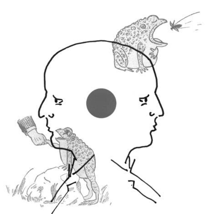Illustration 2