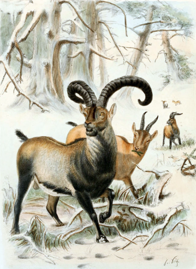 Illustration 2