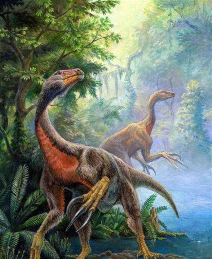 Illustration 2
