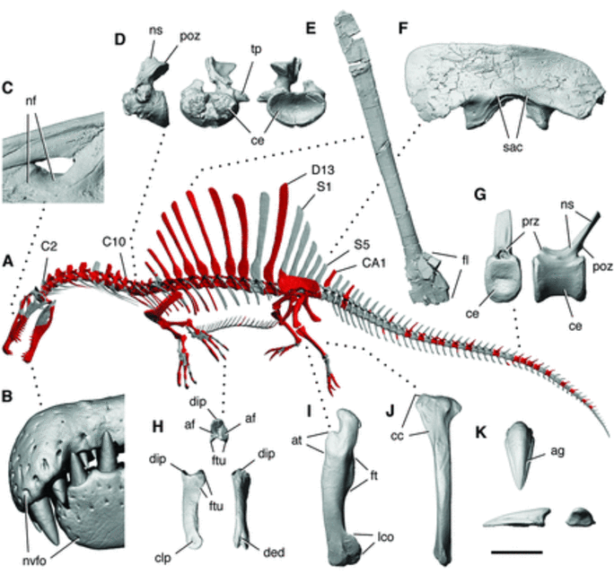 Illustration 2