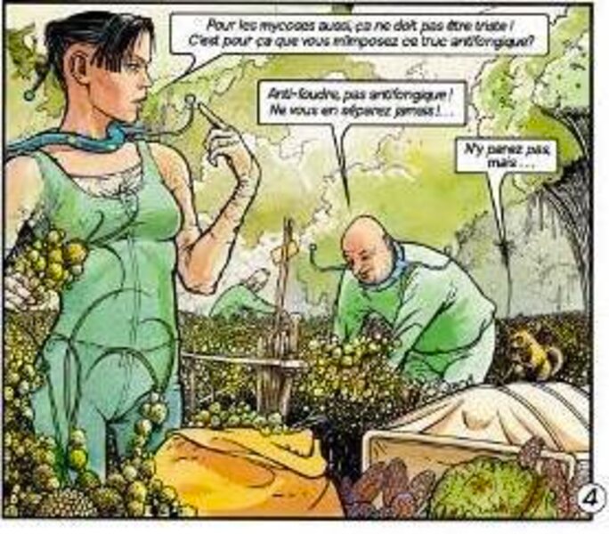 Illustration 2