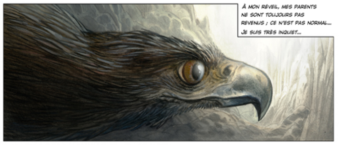 Illustration 2