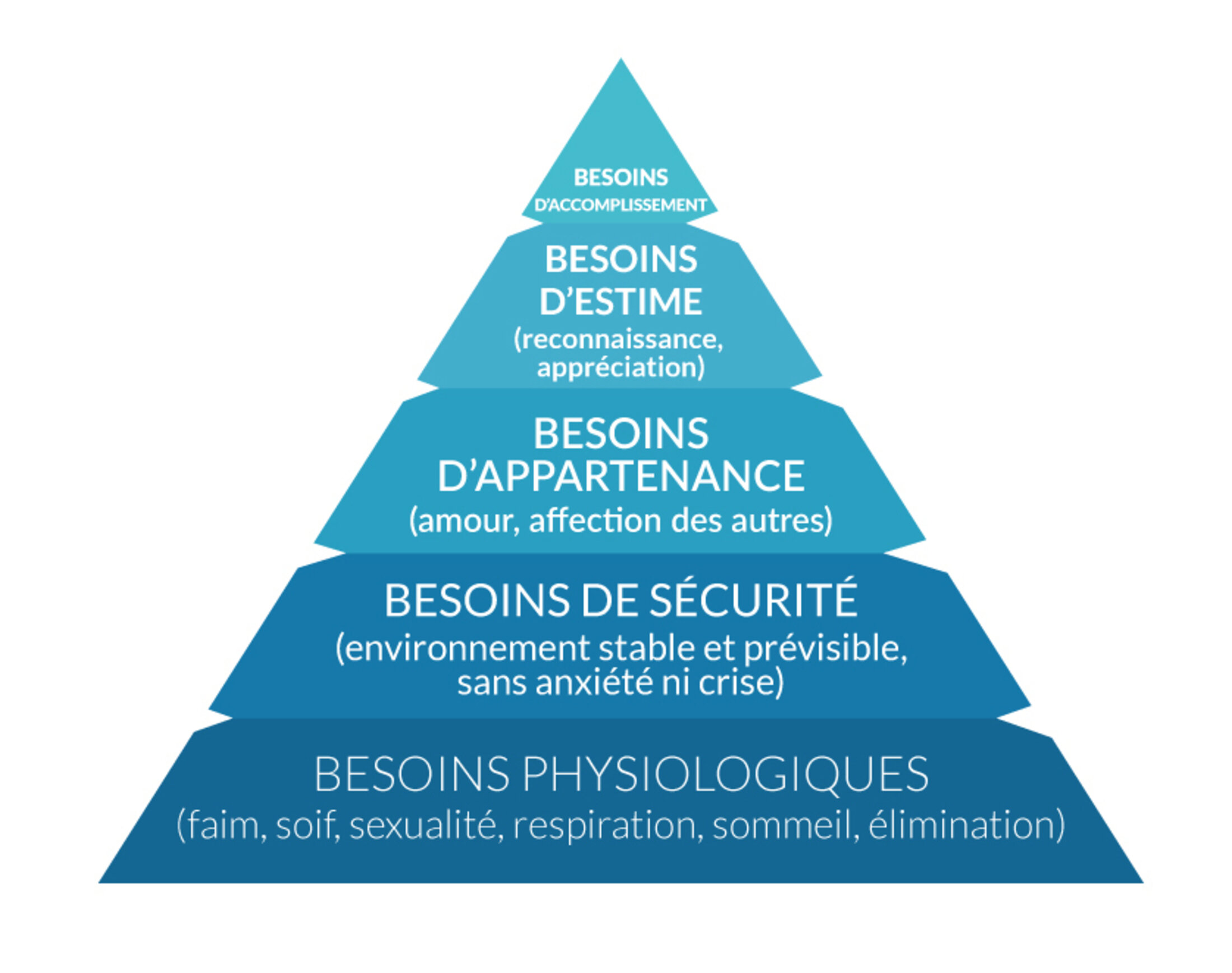 Des является. Maslow Pyramid. La Pyramide Maslow. Пирамида Маслоу без фона. Пирамида Маслоу in English.