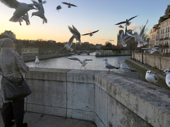 Pont de la Tournelle - 10 décembre 2015 © Gilles Walusinski Pont de la Tournelle - 10 décembre 2015 © Gilles Walusinski