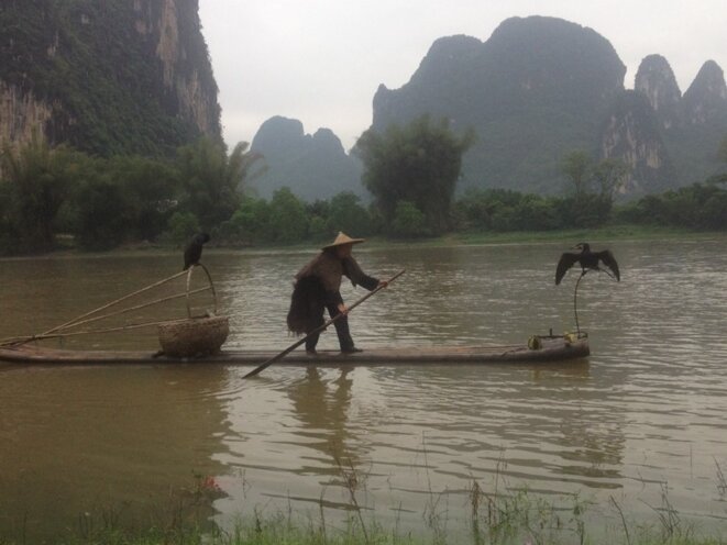 Pêcheur au Cormoran en Chine © Inconnu Pêcheur au Cormoran en Chine © Inconnu
