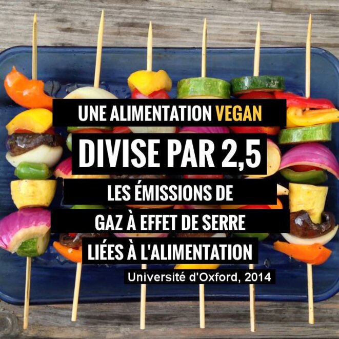 ges-vegan ges-vegan