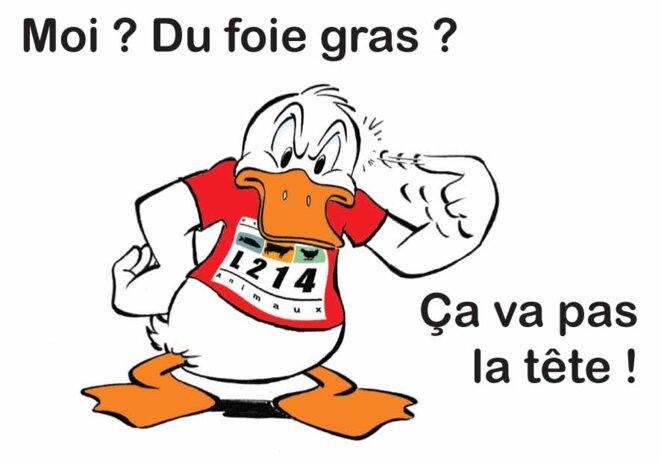 donald-fg © L214 donald-fg © L214