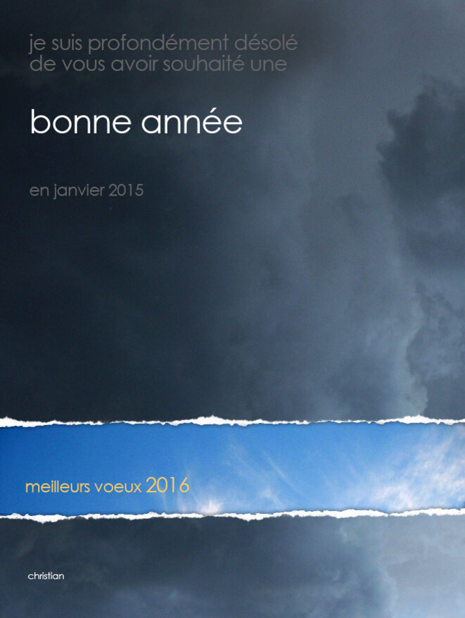 voeux2016 © Christian Puech voeux2016 © Christian Puech