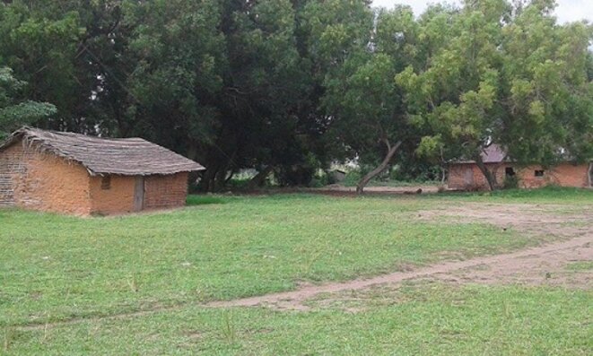 freddy-mulongo-masimanimba32-2 freddy-mulongo-masimanimba32-2