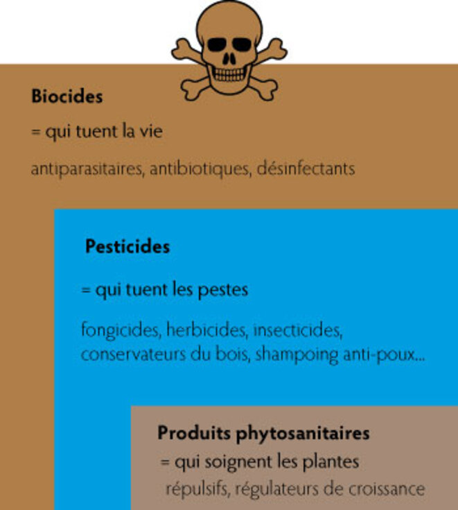Différence entre biocides et pesticides © Erwan Person Différence entre biocides et pesticides © Erwan Person