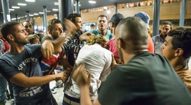 700 dépôts de plaintes à Cologne pour agressions sexuelles - violences - viols - vols / idem à Zürich - Vienne - Helsinki - Hambourg ... etc etc