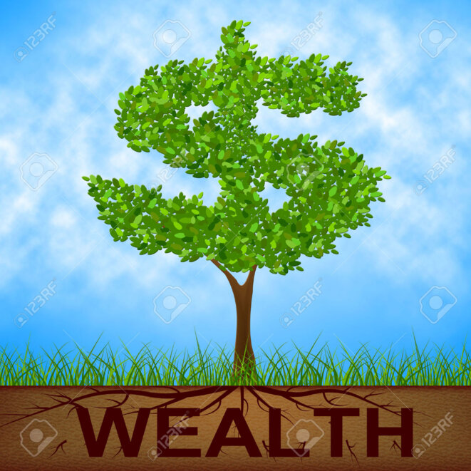 33351965-wealth-tree-representing-banking-dollars-and-nature-stock-photo 33351965-wealth-tree-representing-banking-dollars-and-nature-stock-photo