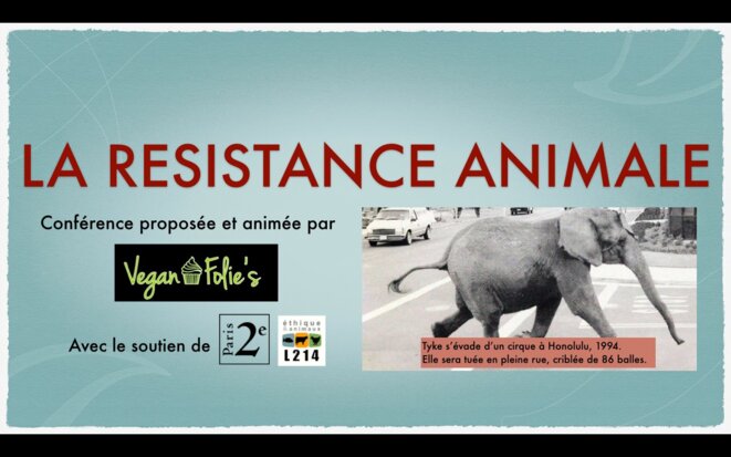 Conférence sur la résistance animale le 15 février à 19h30 à l’espace Jean Dame 17, rue Léopold Bellan 75002 Paris