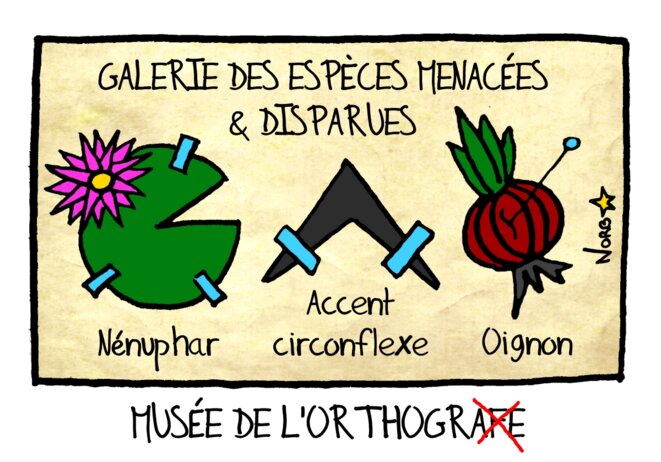 Au musée de l'orthographe