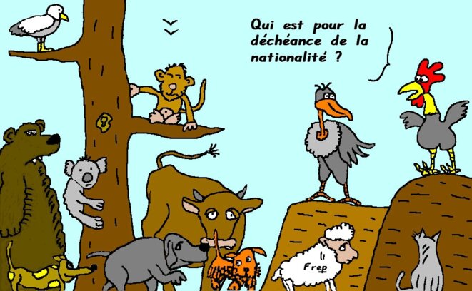 animaux-frep © Frep animaux-frep © Frep