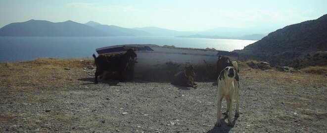 (Péninsule du Pélion (Grèce), août 2015, photo personnelle) © Jean-Jacques Cheval (Péninsule du Pélion (Grèce), août 2015, photo personnelle) © Jean-Jacques Cheval