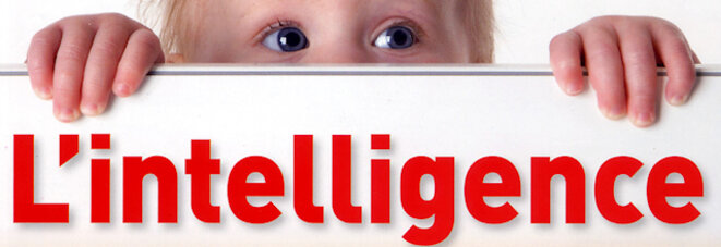 De l’intelligence et de ses degrés