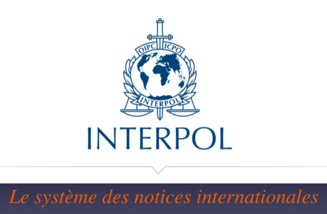 AIR Cocaïne : Le géopolitologue Aymeric Chauprade pouvait-il ignorer la Loi dominicaine 137-3 traitant du trafic illicite de migrants ?